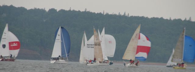Charlottetown sail race